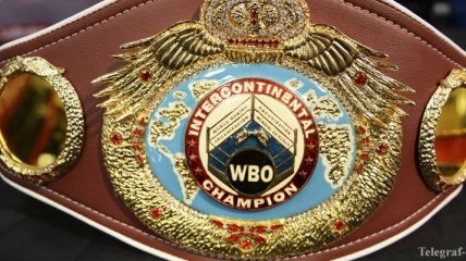 WBO назначила отборочные бои Власов - Саламов и Рамирес - Альварес