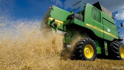 В Украине в этом году уже намолотили более 20 млн тонн зерновых и зернобобовых 