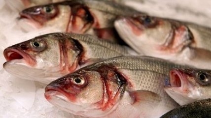 В Украине может резко подорожать рыба