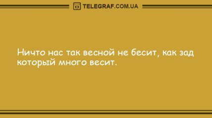 А у вас спина белая: самые смешные анекдоты на утро