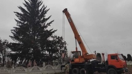 В центре города на Ровенщине установили елку с кладбища: мэр города не видит в этом ничего плохого (фото, видео)