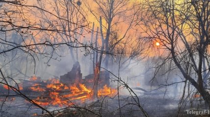 "Цена безразличия": сколько Украина потратит на ликвидацию последствий пожара в зоне отчуждения