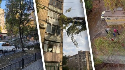 В Украине штормит: "деревопады" и подтопления наделали бед по всей стране (видео, фото)