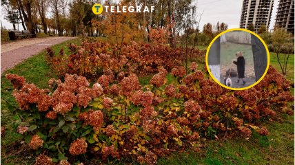 Осінній Київ