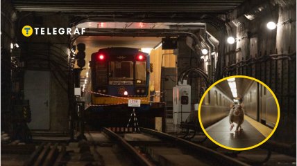 В киевском метро