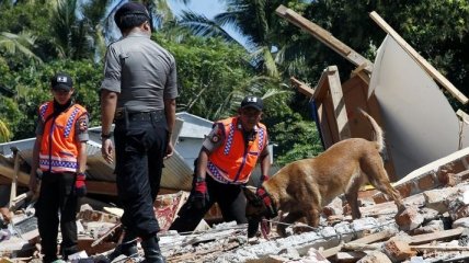 Разрушительное землетрясение в Индонезии: число жертв продолжает увеличиваться 