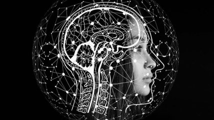 Мозг человека вдохновил ученых на создание нового метода обучения ИИ