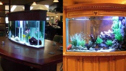 Подводное царство: самые красивые аквариумы в интерьере квартиры (Фото)