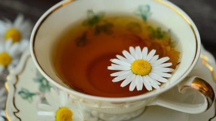 Ромашковый чай: почему стоит выпивать 1-2 чашки в день