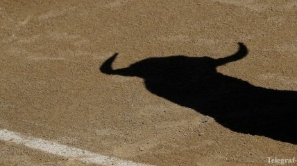В Испании во время забега быков погиб зритель