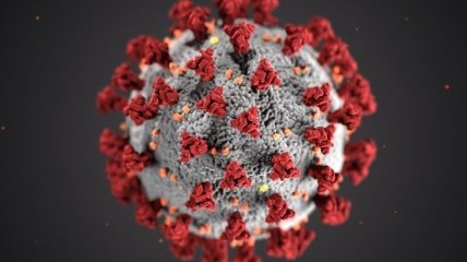 COVID-19 на Донеччині: Слов'янськ став осередком спалаху коронавірусу