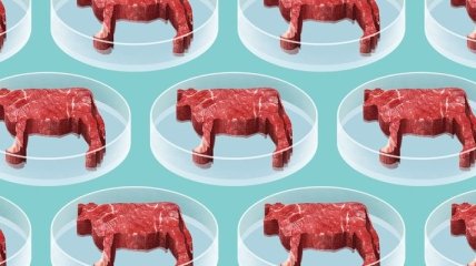 Мясо с пробирки несет больше опасности, чем его натуральный аналог