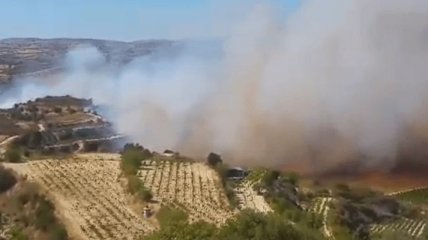 Лесные пожары в двух районах Кипра вышли из-под контроля 