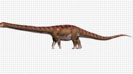 Ученые показали, как выглядело самое большое существо в истории планеты (Видео) 