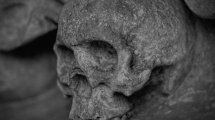 Було знайдено останки древнього черепу з хірургічним втручанням