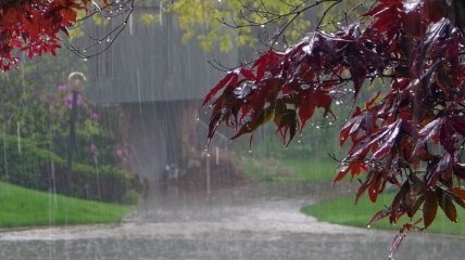 Погода в Украине на сегодня: дожди не покидают страну