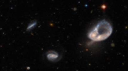 Галактика  Arp-Madore 417-39 напоминает большой перстень