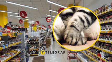 Мультимаркет "Аврора"