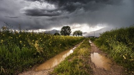 Грозы и жара в Украине: дождливый циклон не отступает 