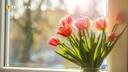 Тюльпани – це посланці весни, які дарують нам свою красу та аромат (фото створене з допомогою ШІ)