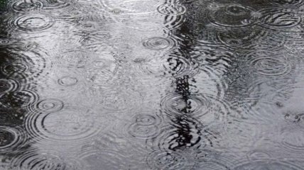 Погода в Украине на 24 февраля: резкое похолодание, дождь 