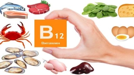 Где содержится витамин В12: продукты и рецепты