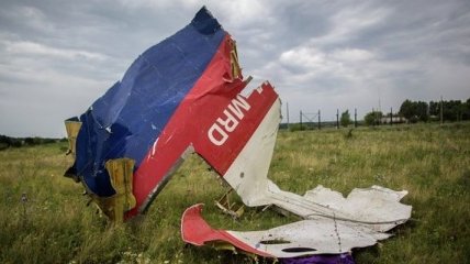 Госдепартамент США призвал создать основу для наказания виновных в сбитии MH17  