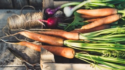 Морква і цибуля мають унікальні властивості
