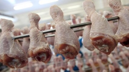 ОАЭ запретили импорт мяса и птицы из России