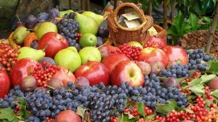 Лето-2013: Украина радует изобилием недорогих фруктов 