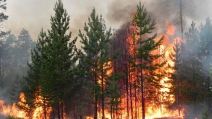 Рятувальники попереджають про надзвичайну пожежну небезпеку в ряді регіонів України: чого не можна робити