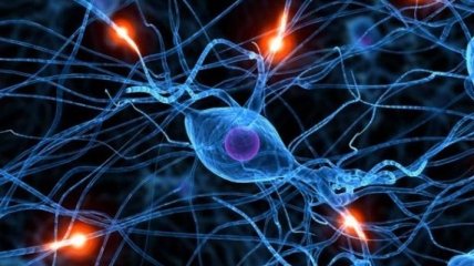 Ученые изобрели искусственный нерв от хронических болей