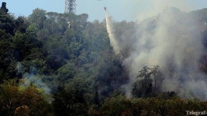 Хорватия охвачена лесными пожарами