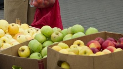 Украина значительно увеличила экспорт яблок в Европу