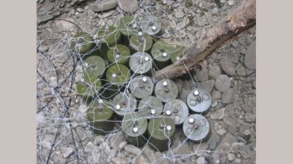 Германия профинансировала утилизацию противопехотных мин в Украине