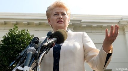 Грибаускайте просит Грузию не повторять ошибок Украины