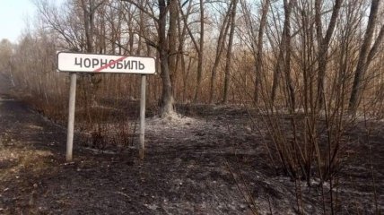 ДСНС повідомляє, що вогню в Чорнобильській зоні немає