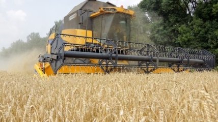 Аграрии намолотили 38,8 млн тонн зерновых