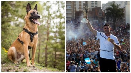 Герой ЧМ-2022 купил пса за 20 тысяч фунтов, чтобы охранял медаль