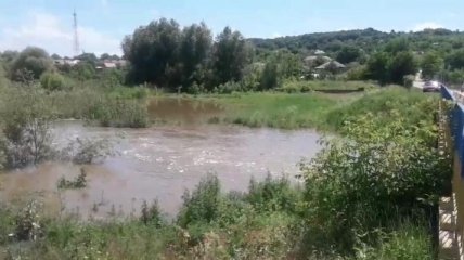 В Одесской области из-за наводнения на поля выносит рыбу (Видео)