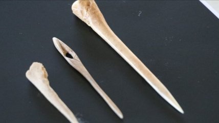 В Турции нашли костяные иглы возрастом около 8,6 тысяч лет (Фото)