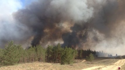 В Херсонской области продолжают бороться с лесным пожаром