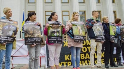 Народные депутаты предлагают запретить производство меха в Украине