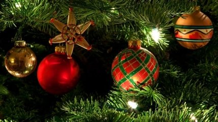 Главную новогоднюю елку Украины начнут монтировать уже в четверг