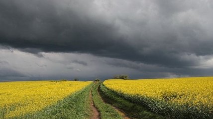 Опасная погода: в среду в Украине прогнозируют грозы, град, шквалы и даже смерчи