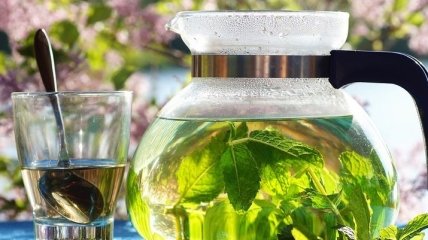 Зеленый чай может продлить жизнь