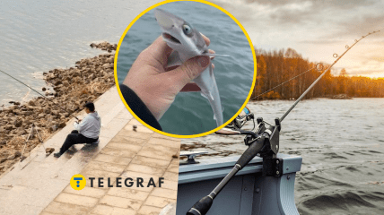 Рибалка нібито впіймав акулу в прісній воді