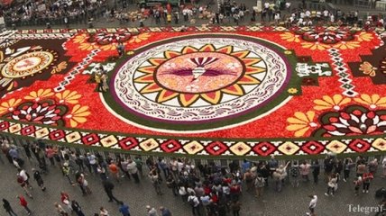 В Брюсселе можно полюбоваться гигантским цветочным ковром (Видео)