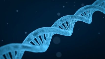 CRISPR: первые испытуемые успешно изменили свой геном
