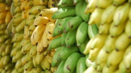 Зеленые бананы: чем они лучше желтых